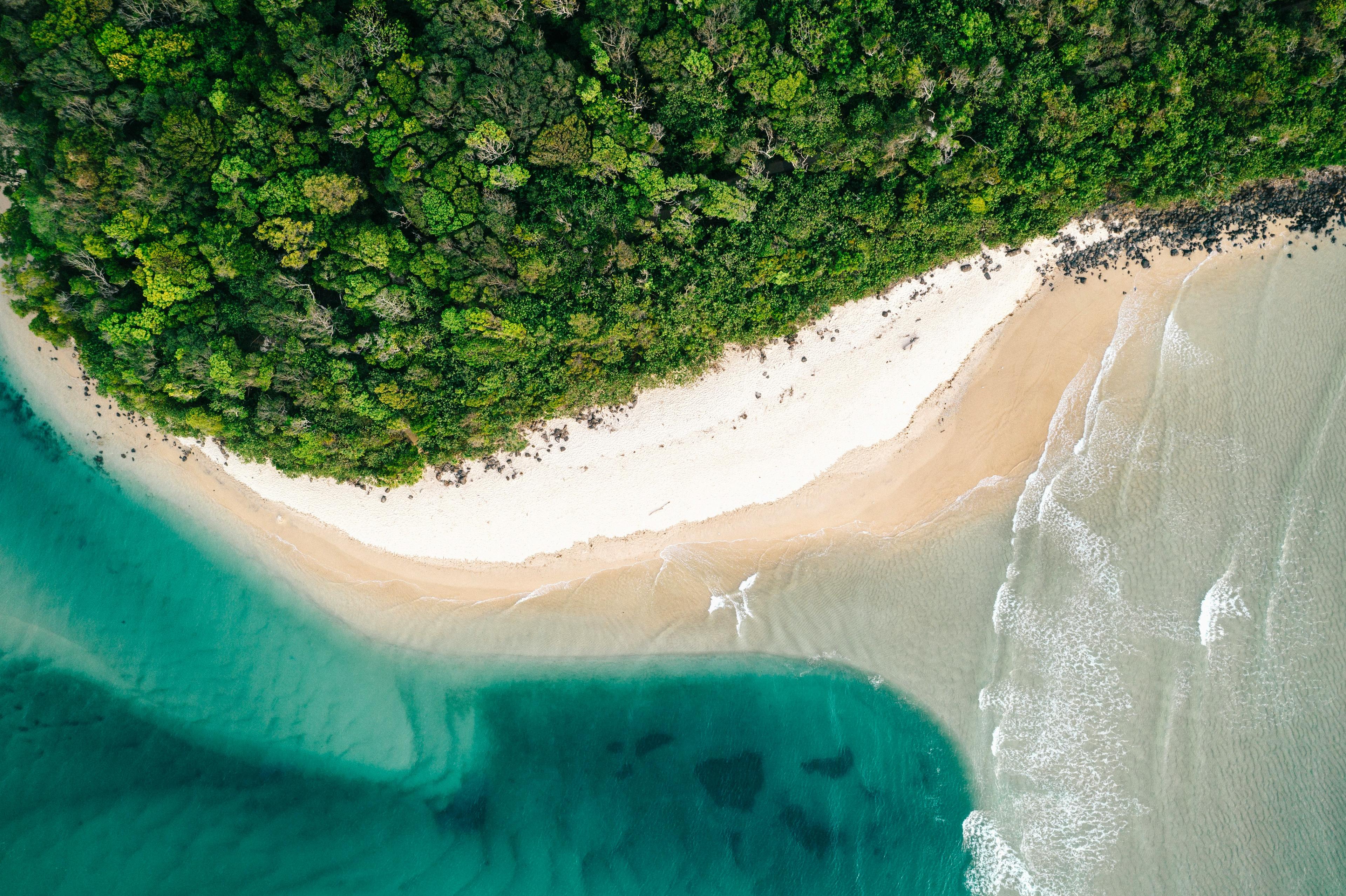 Aerial perspective of a beach with green palm trees